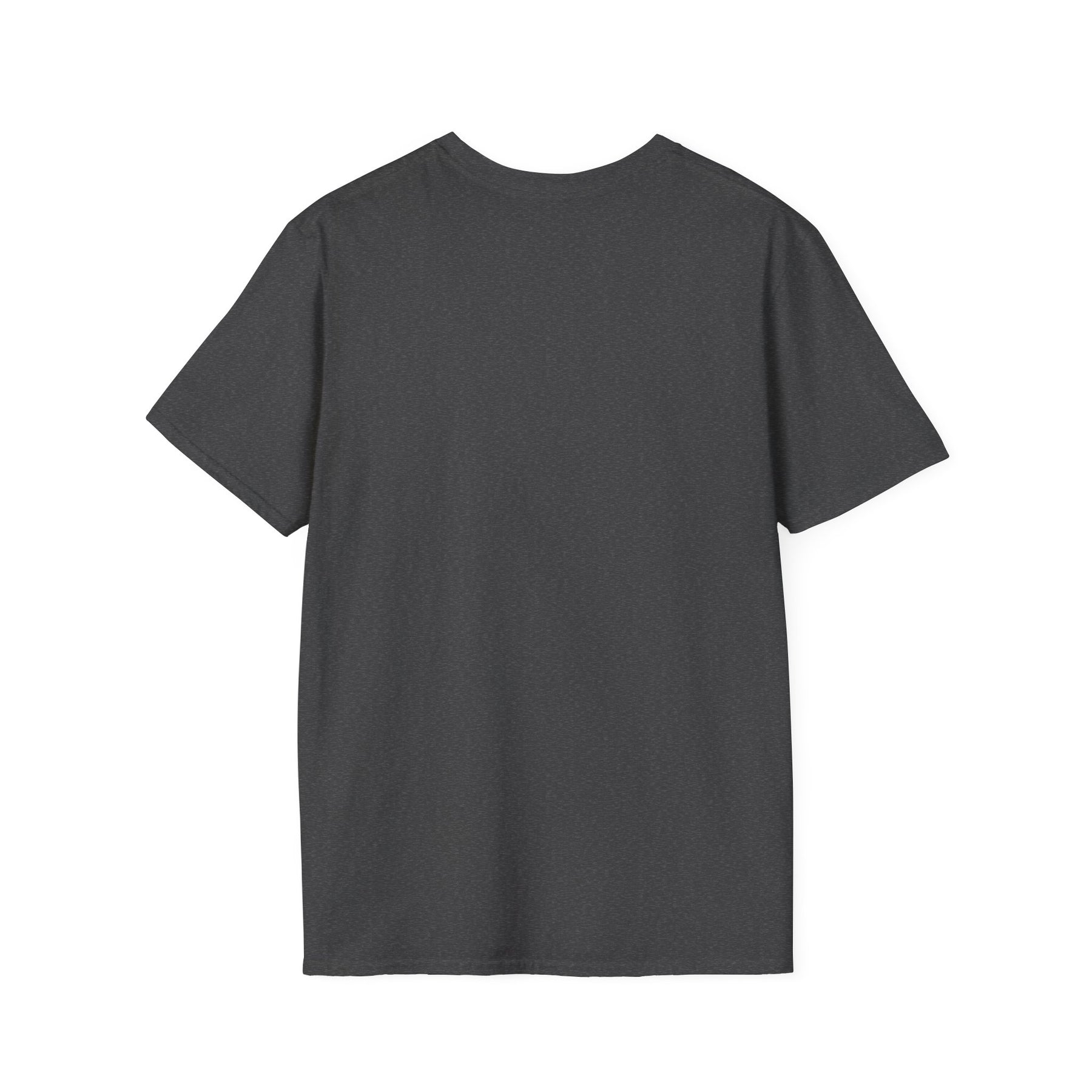 The Old Lie Is Dead – Rebirth Recovery Tee – DPR Recovery Tee